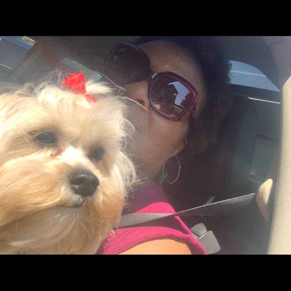 Meet your Posher, Tracy